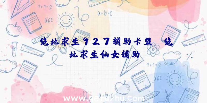 「绝地求生927辅助卡盟」|绝地求生仙女辅助